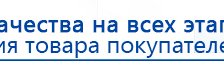 Электрод Скэнар - лицевой двойной Пешки купить в Коломне, Электроды Скэнар купить в Коломне, Нейродэнс ПКМ официальный сайт - denasdevice.ru